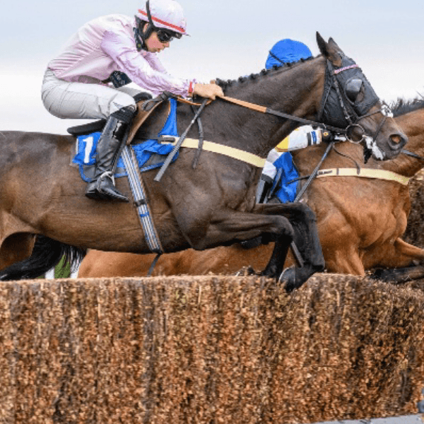 Jason Dixon profile image