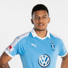 Romain Gall profile photo