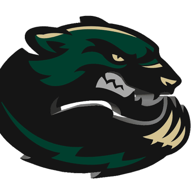 DC WOLVERINES profile image