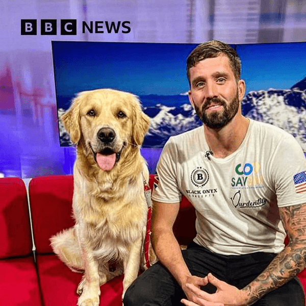 Mitchell Hutchcraft profile image