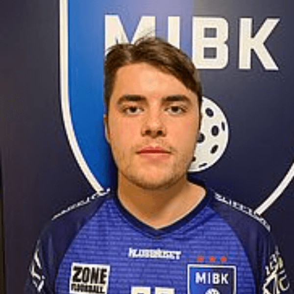 Hannes Karlsson profile image