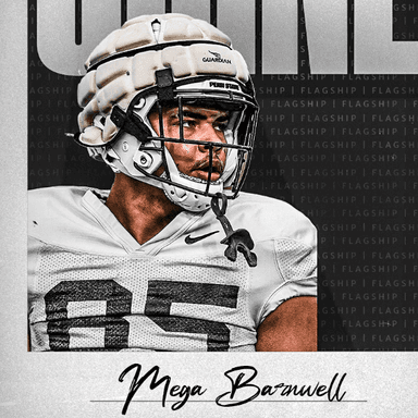 Mega Barnwell profile image