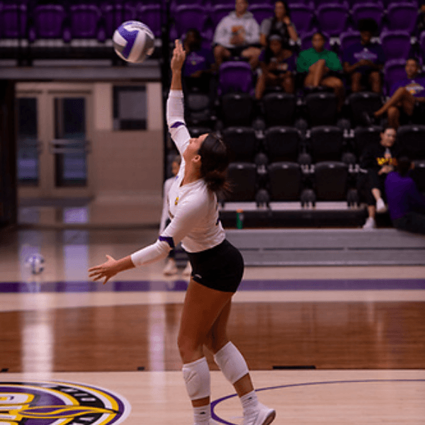 Karlie Lane profile image