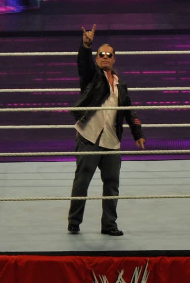 Bret Hart profile image