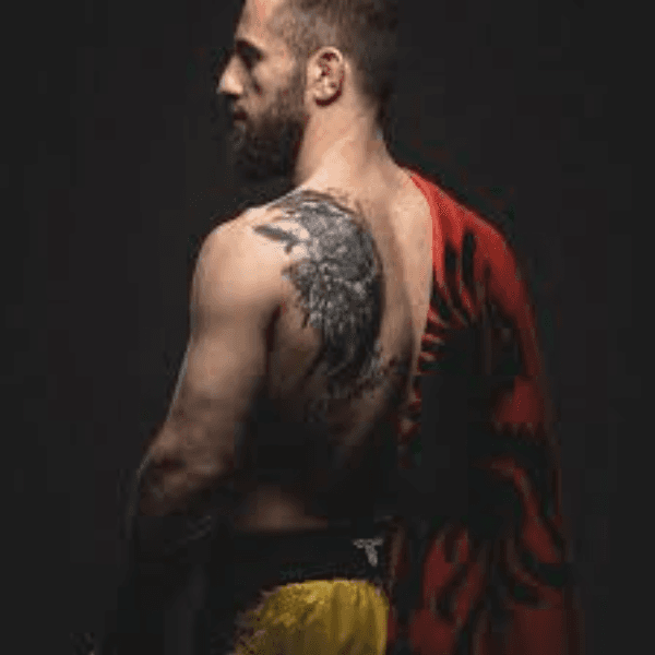 Vilson Ndregjoni profile image