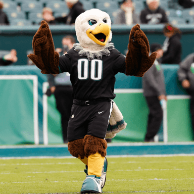 SWOOP Philadelphia Eagles profile image