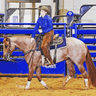 Jaycie Davison profile photo