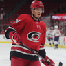 Andrei Svechnikov profile photo