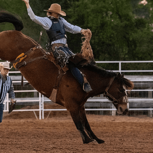 Michael Womack profile image