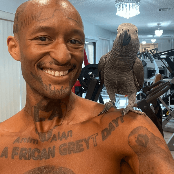 AnimALan The Vegan Voice profile photo