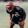 Darius Phillips profile photo