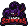 Texas Scorpions profile photo