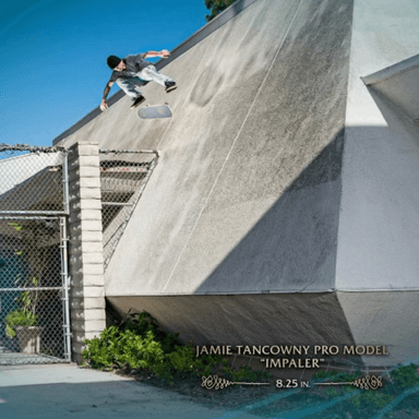 Jamie Tancowny profile image
