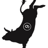 Circle 9 Cattle Company profile photo