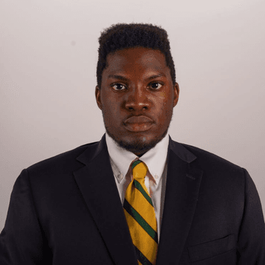Prince Ugoh profile image