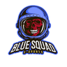 Blue Squad eSports profile photo