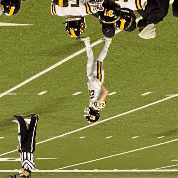 Cole Peck profile image