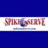 Spike and Serve Volleyball  -July, Honolulu profile photo