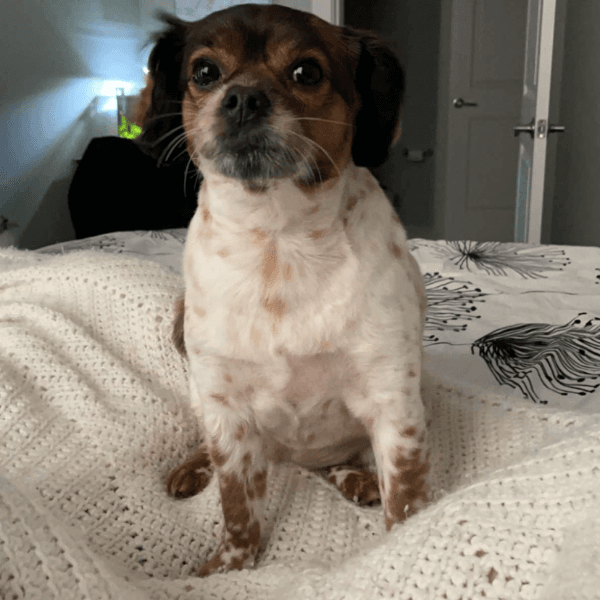 Abigail Phillips profile image