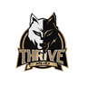 We Thrive Foundation profile photo