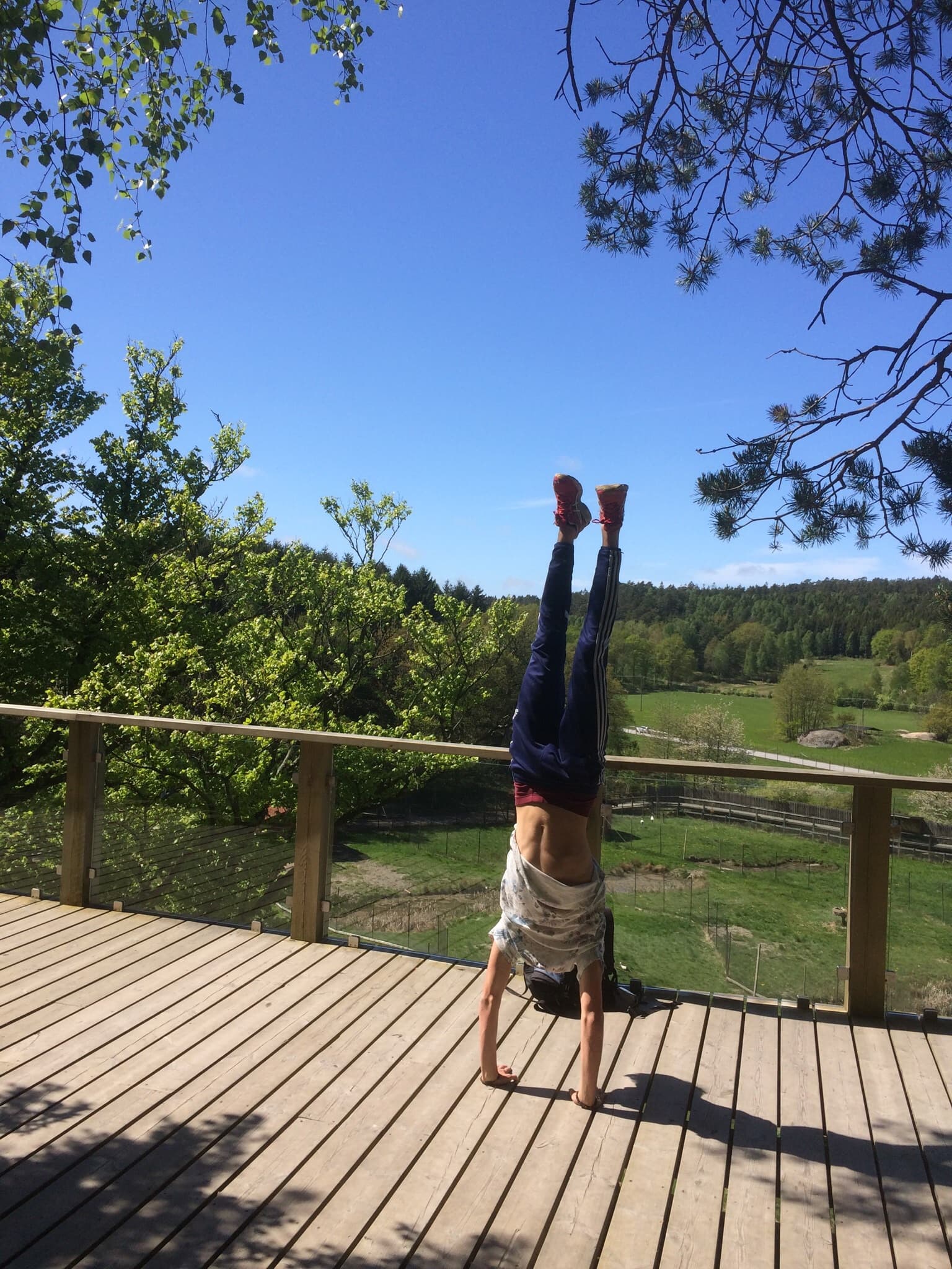 Max Landehag Eklund profile image