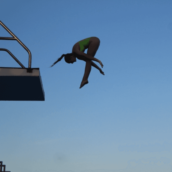 Brianna Tocco profile image