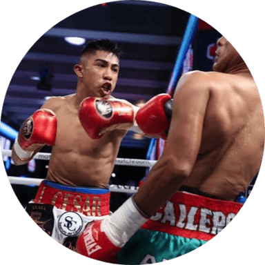 Boksado Boxing profile image