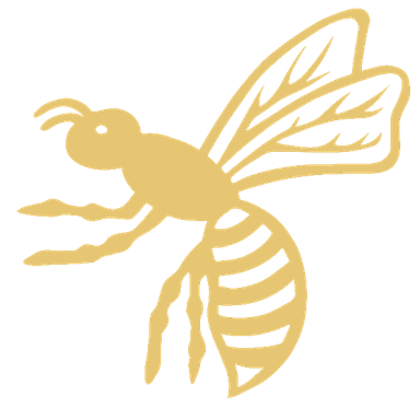 Wasps Ladies profile image