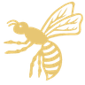 Wasps Ladies profile photo