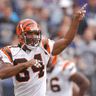 T.J. Houshmandzadeh profile photo