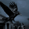 Abhishek Mallick profile photo