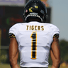 Myron Stewart, Jr profile photo