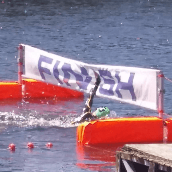 Daniel Marotta profile image