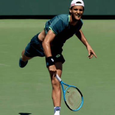 João Sousa profile image