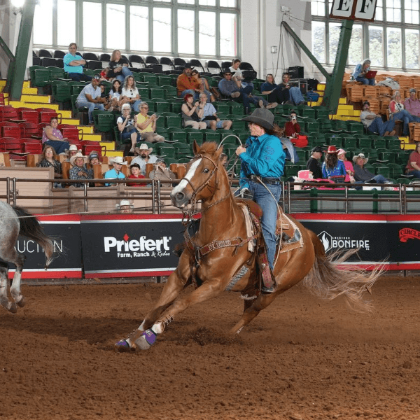 Brittney Steed profile image