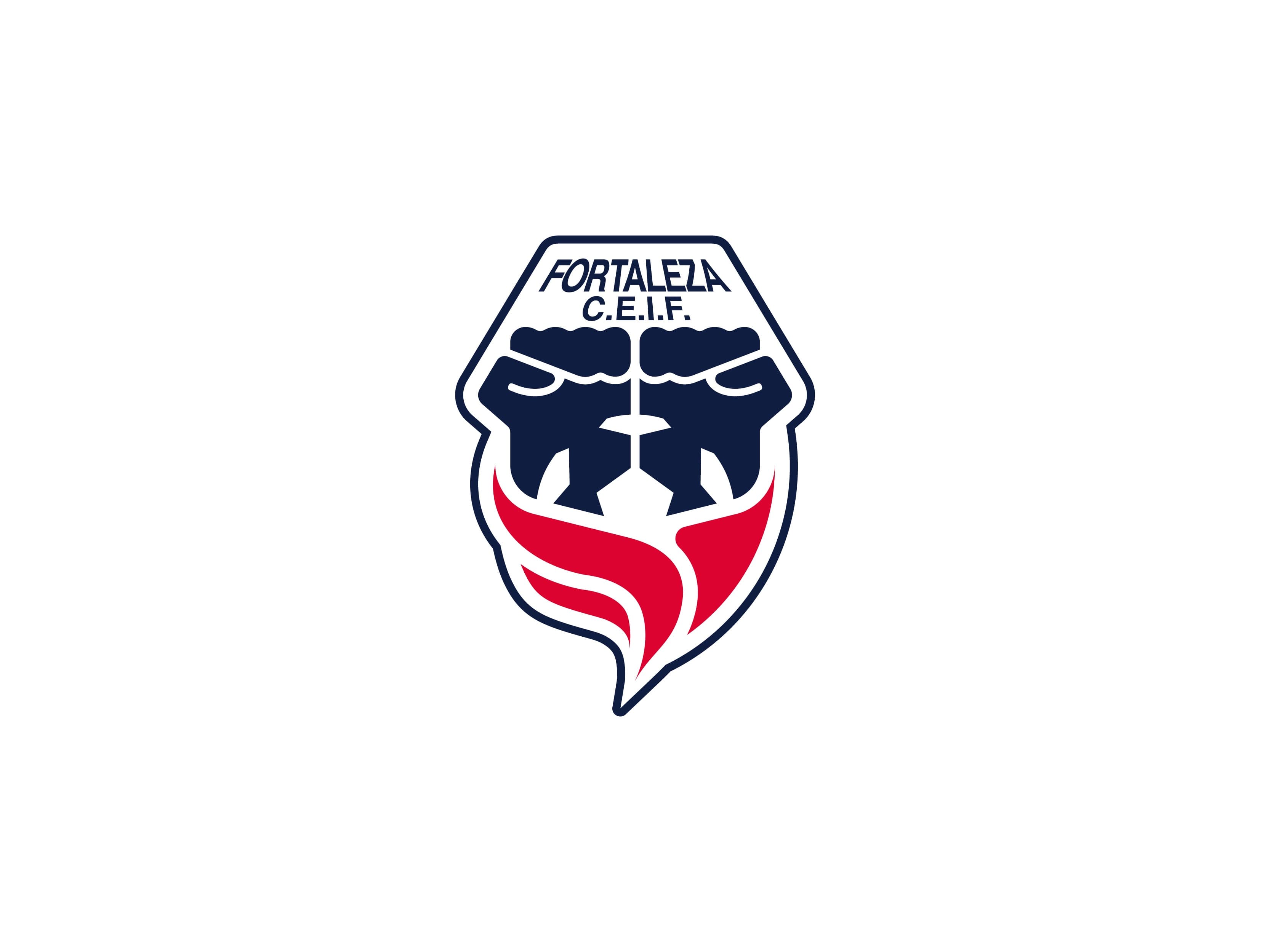 Fortaleza F C profile image