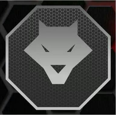 LIONS CAGE FIGHT COMBAT profile image