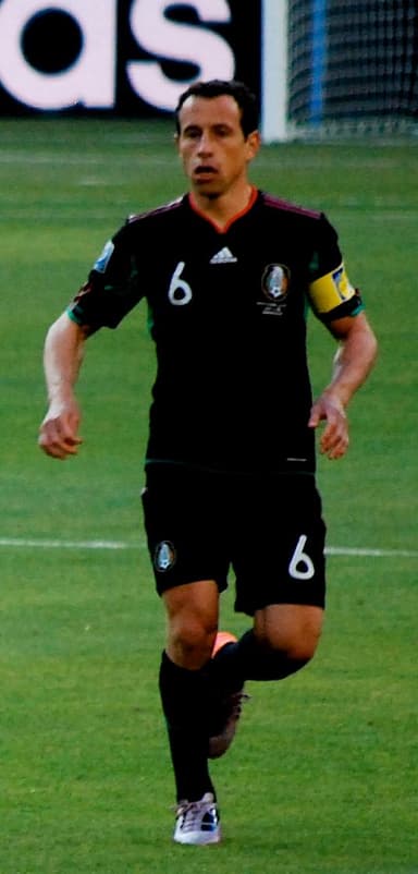 Gerardo Torrado profile image