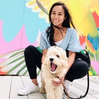 dmvfoodie on TikTok (100K+) profile image