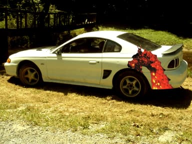 Red Dragon Racing Team profile image