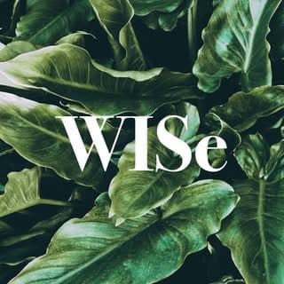 WISe Wellness Guild profile image