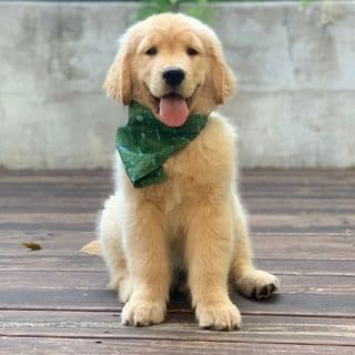 Boone profile image