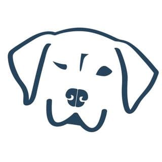 Dog Named Stella profile image