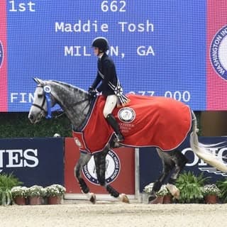 Maddie Tosh profile image