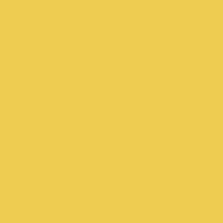 Common Friends Studio profile image