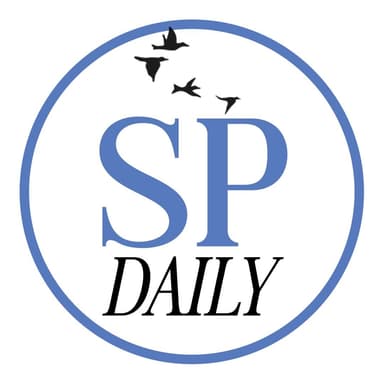 The Sunday Paper profile image