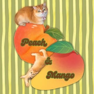 Mango Peach profile image