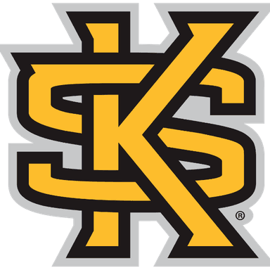 KennesawState Univiersity CSGO profile image