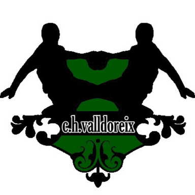 Club Handbol Valldoreix profile image