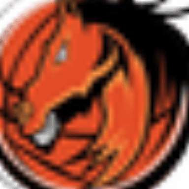 Minnesota Broncos profile image